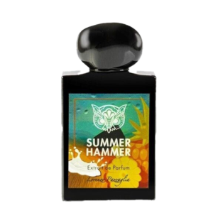 Summer Hummer